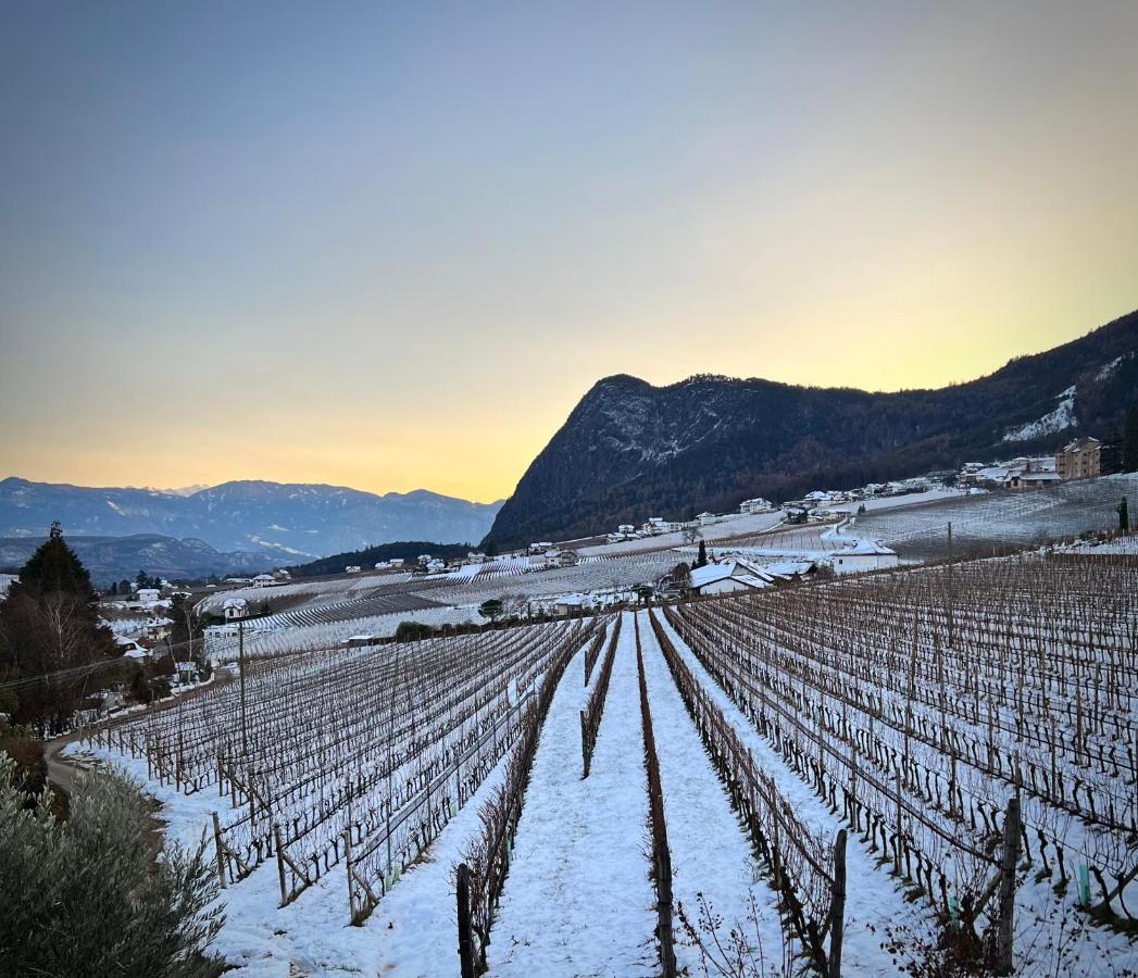 Strahlerhof Apartment Appiano Sulla Strada Del Vino Bagian luar foto