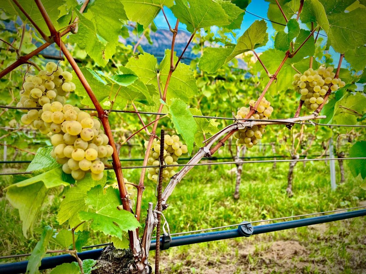 Strahlerhof Apartment Appiano Sulla Strada Del Vino Bagian luar foto