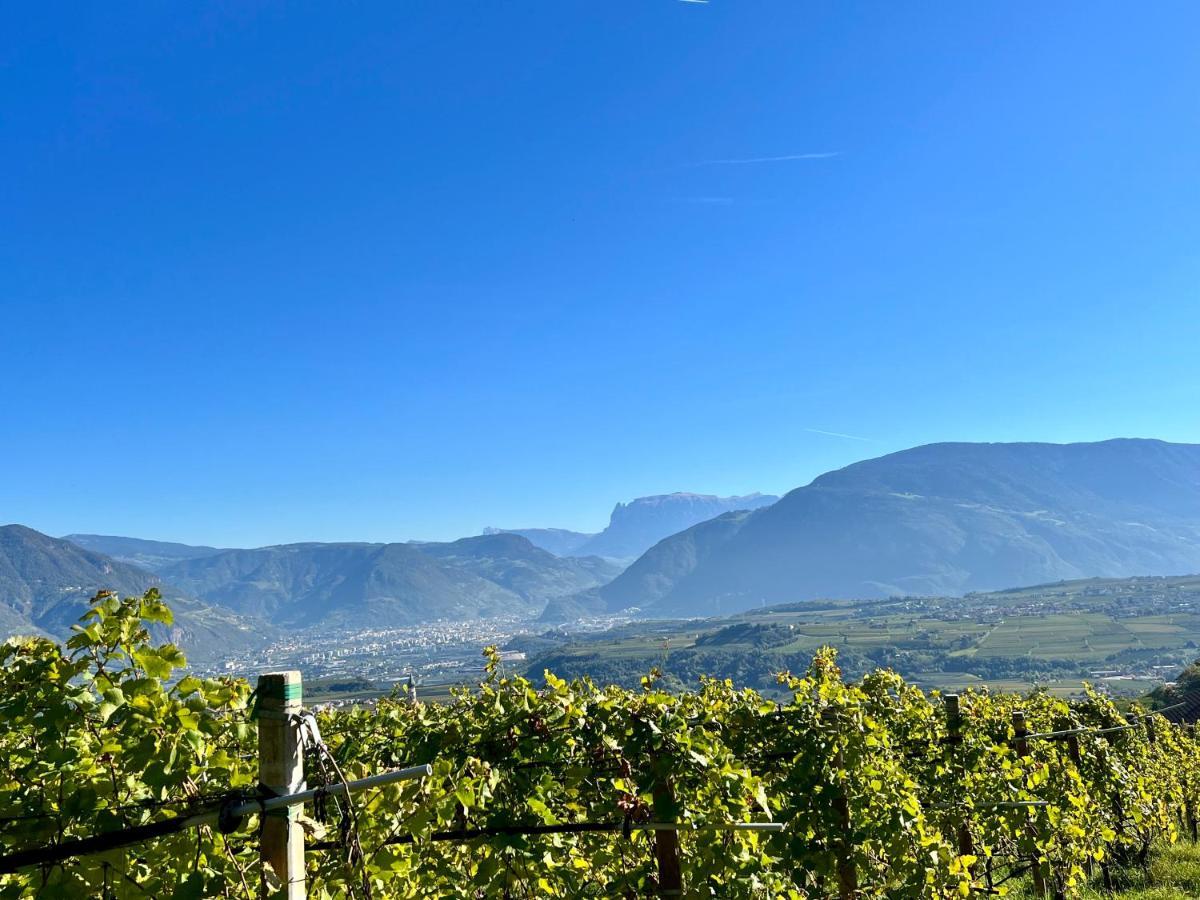 Strahlerhof Apartment Appiano Sulla Strada Del Vino Bagian luar foto