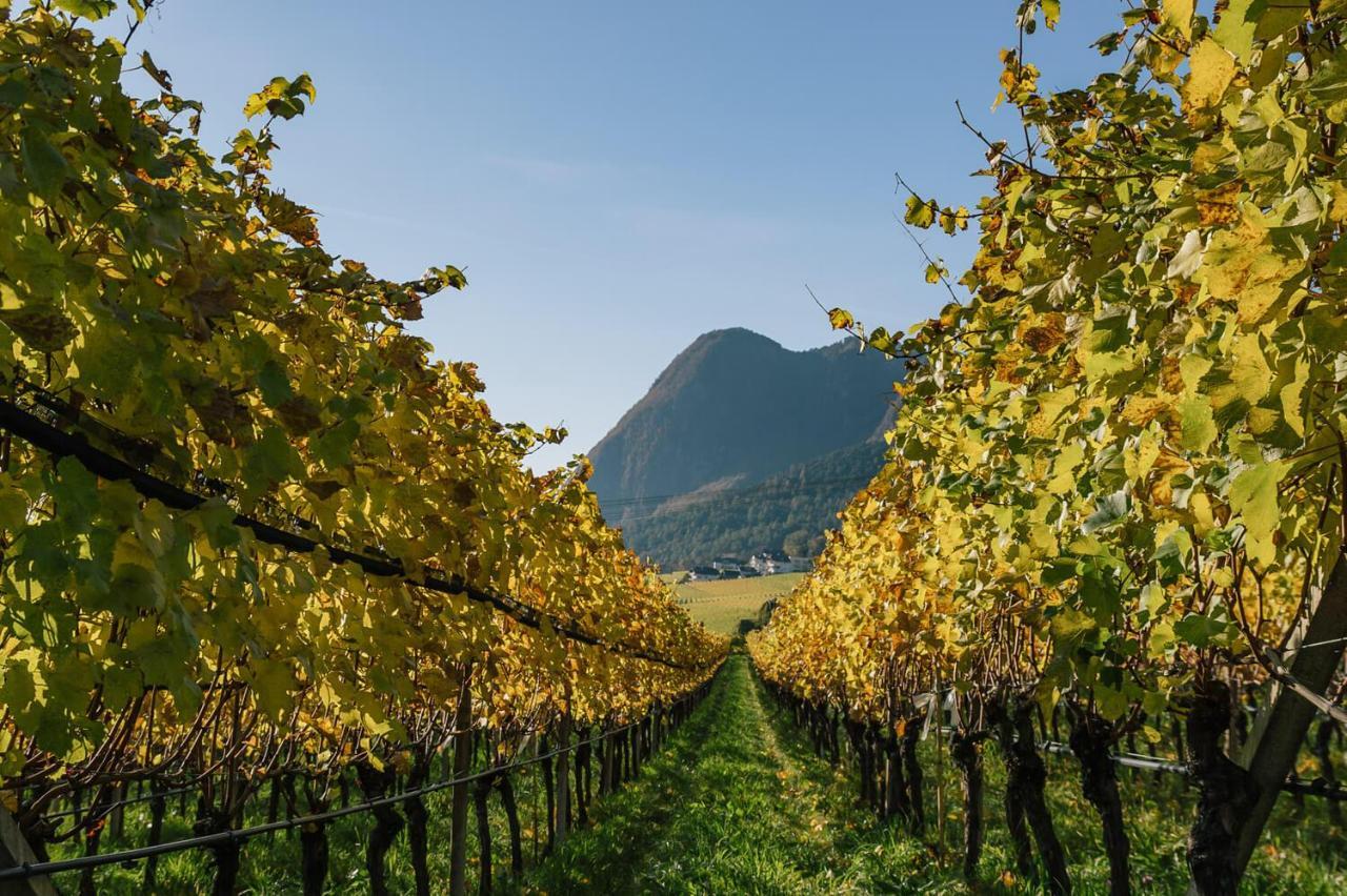 Strahlerhof Apartment Appiano Sulla Strada Del Vino Bagian luar foto