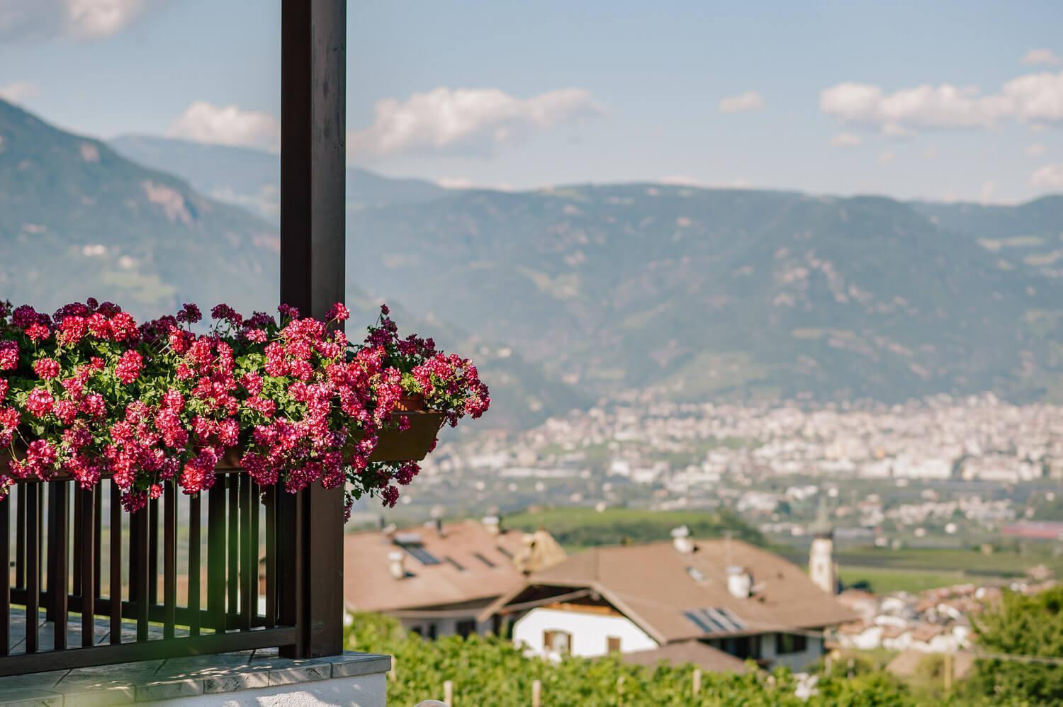 Strahlerhof Apartment Appiano Sulla Strada Del Vino Bagian luar foto