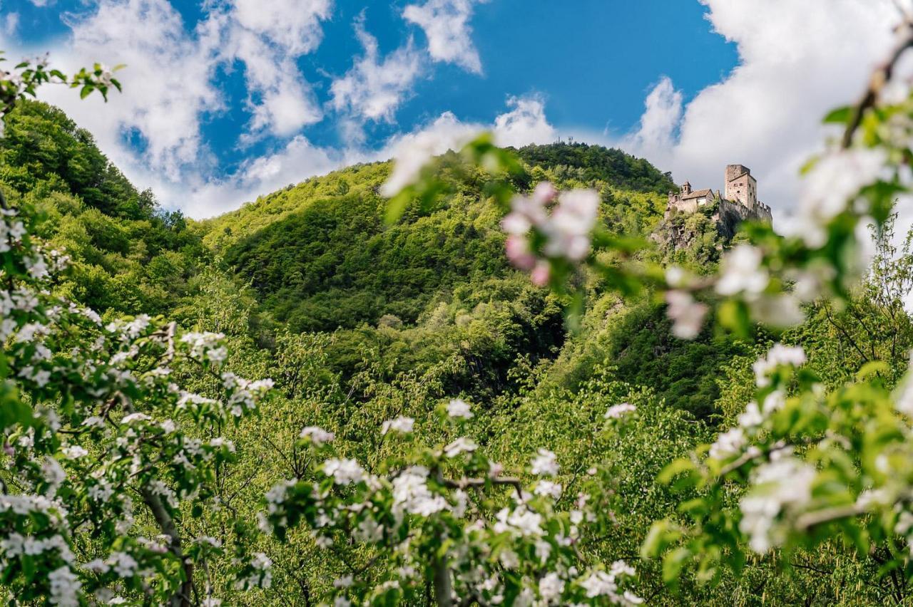 Strahlerhof Apartment Appiano Sulla Strada Del Vino Bagian luar foto